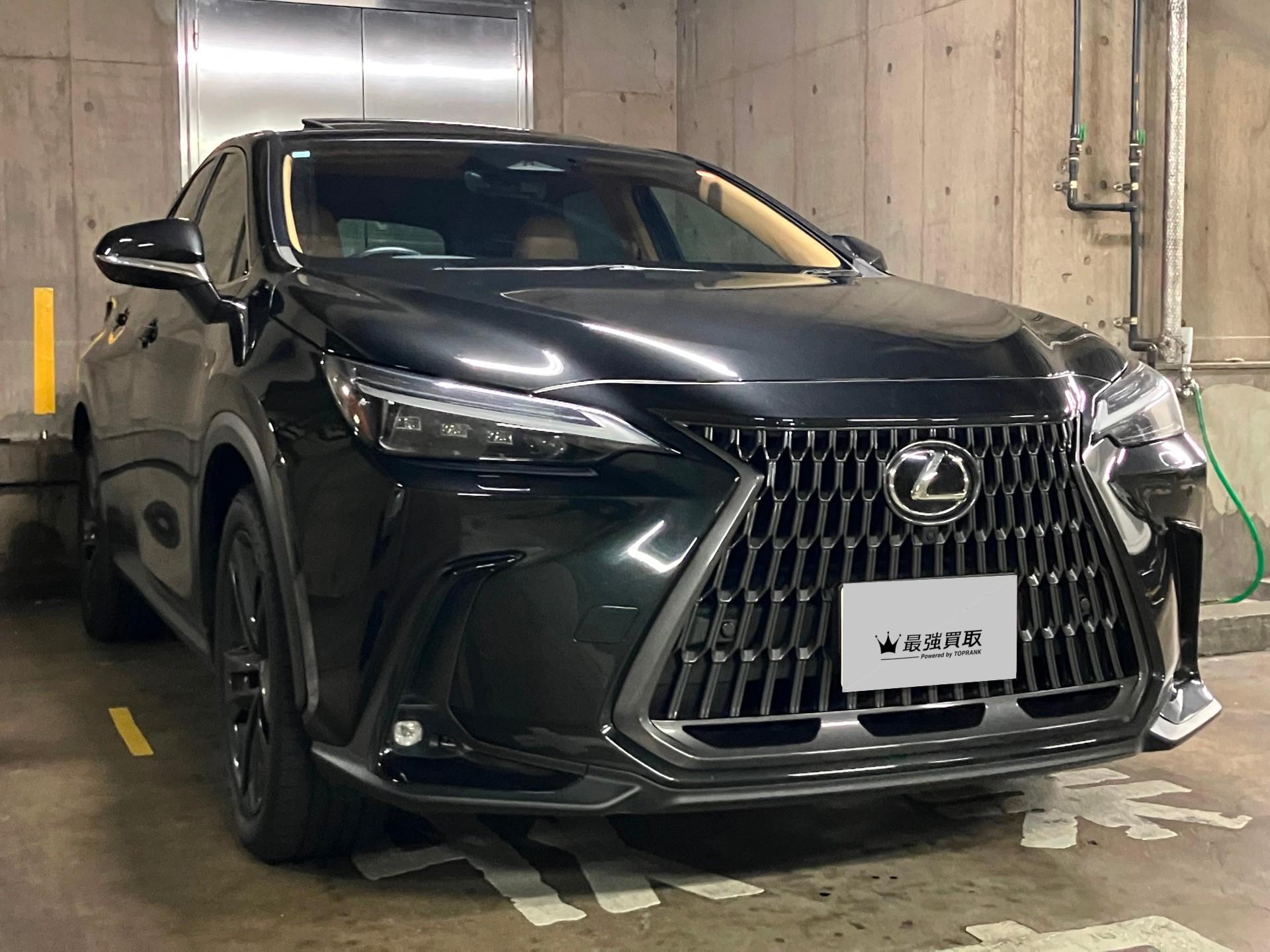 レクサス NX 実車