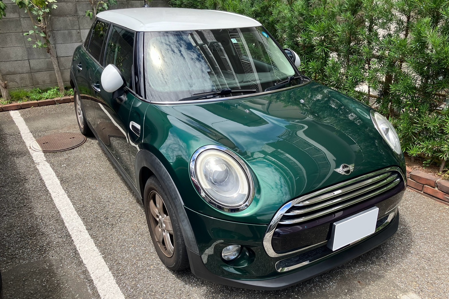 ミニ クーパー